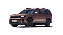 Hyundai Santafe in bronze